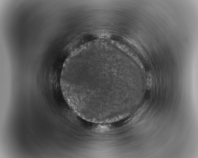 X0000093480573200711020935