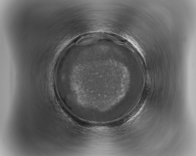 X0000093480577200711020935