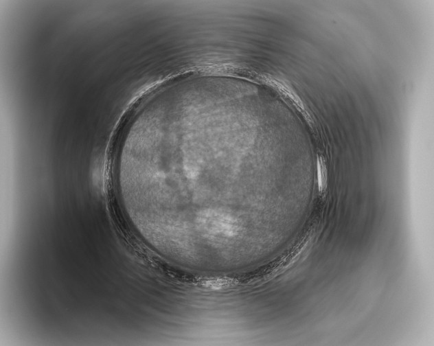 X0000093480579200711020935
