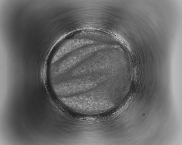 X0000093480580200711020935