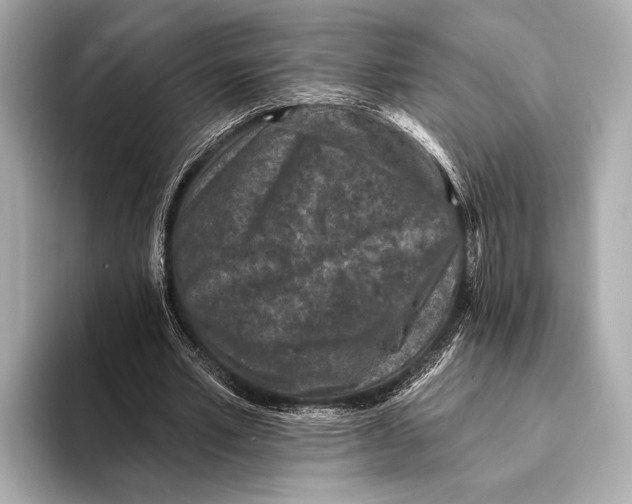 X0000093480581200711020935