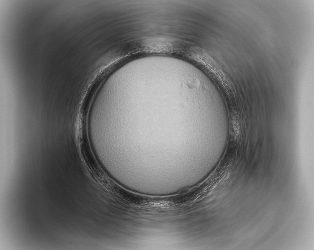 X0000093480583200711020935