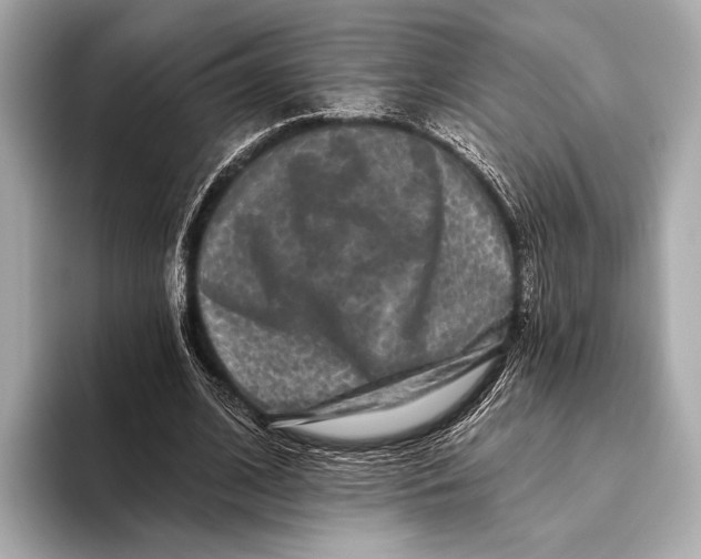 X0000093480584200711020935