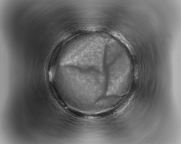 X0000093480585200711020935