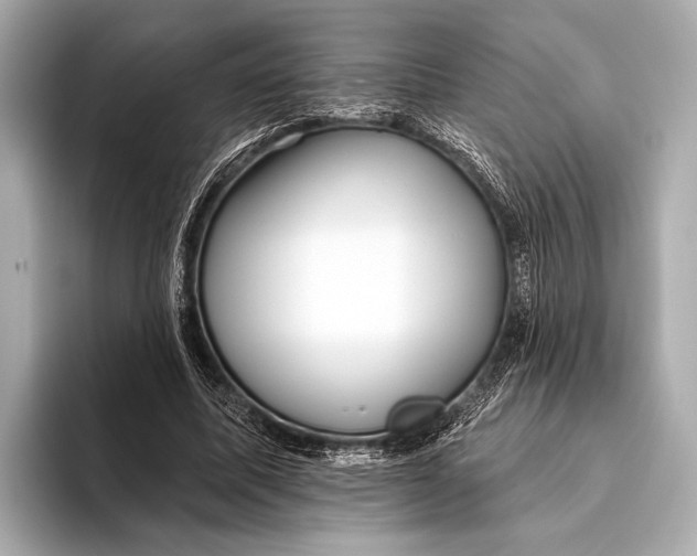X0000093480587200711020935