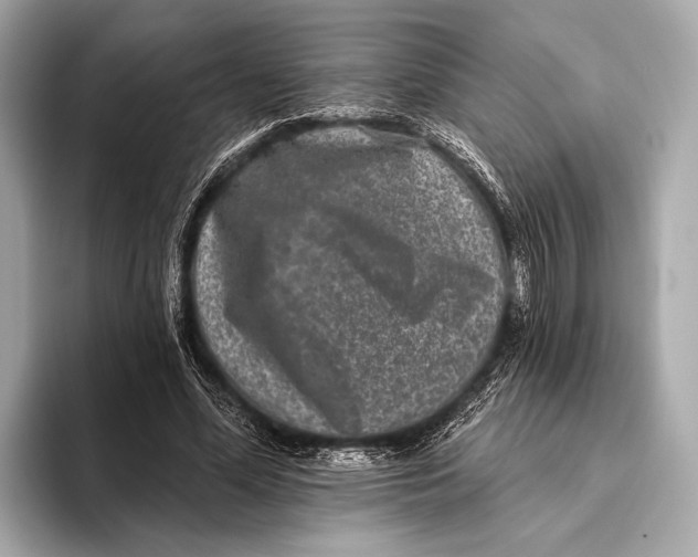 X0000093480588200711020935