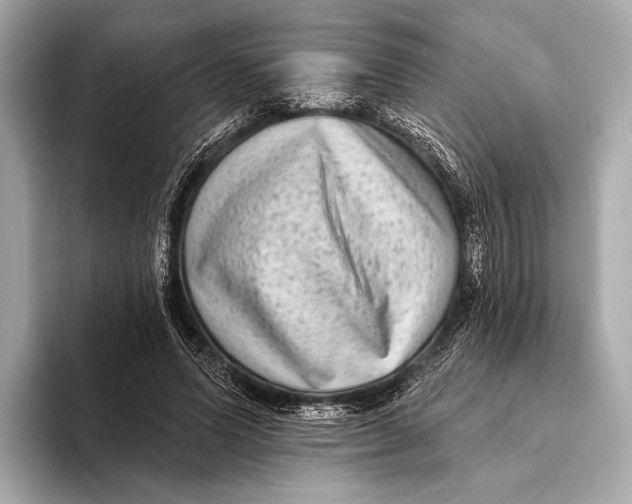 X0000093480591200711020935