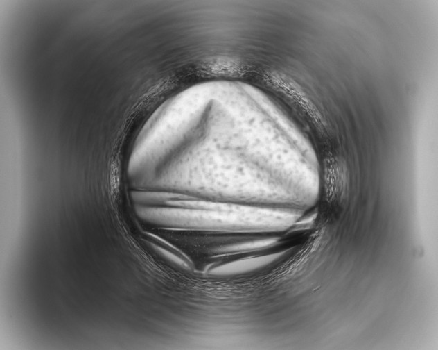 X0000093480593200711020935