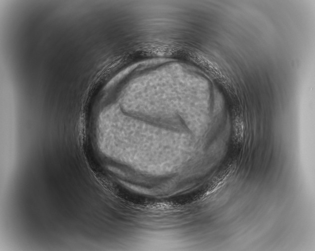 X0000093480594200711020934