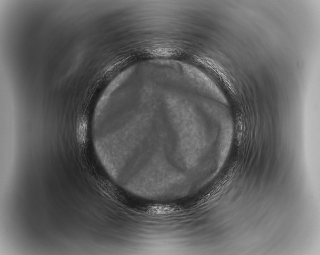 X0000093480596200711020934