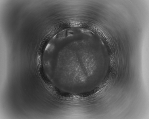 X0000093480598200711020934