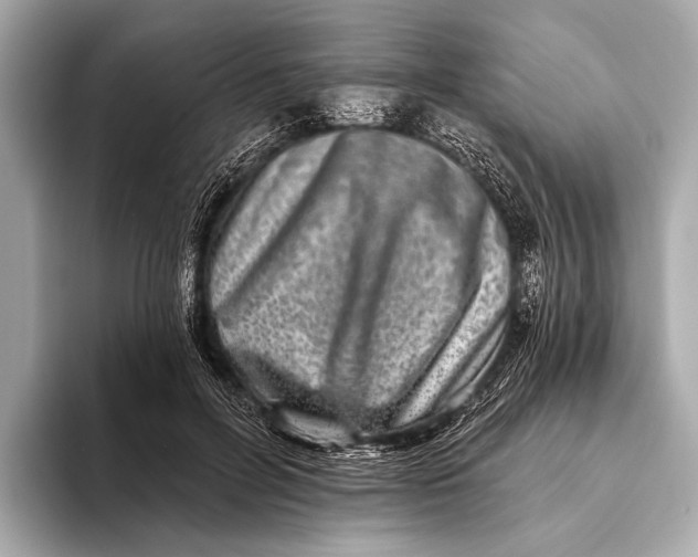 X0000093480600200711020934