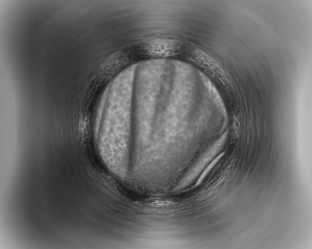 X0000093480601200711020934