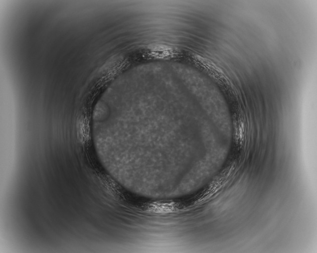 X0000093480606200711020934