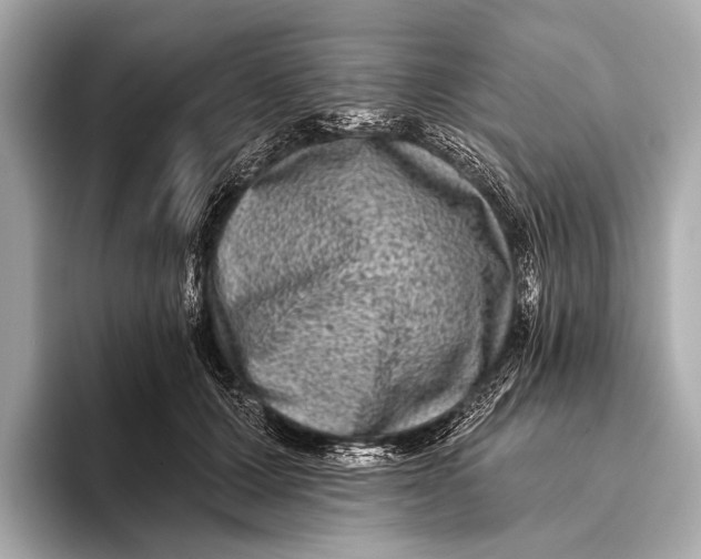 X0000093480607200711020934