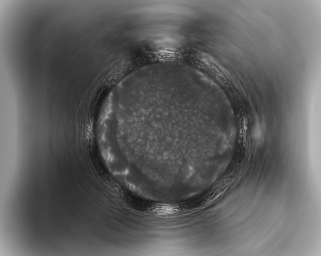 X0000093480610200711020934