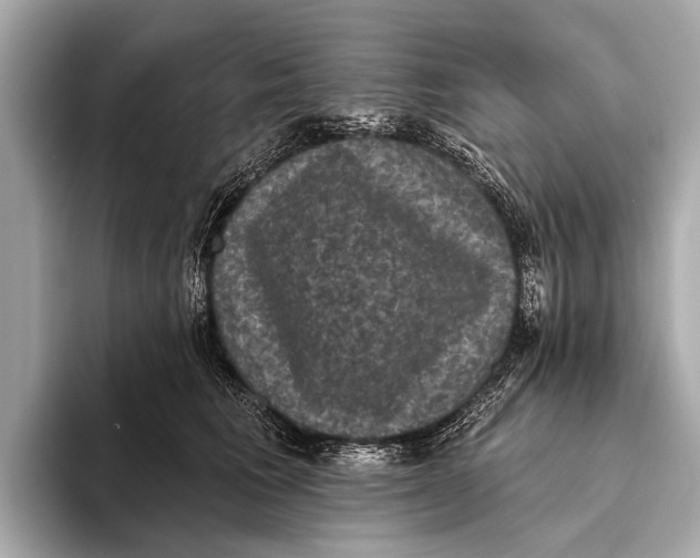 X0000093480613200711020934