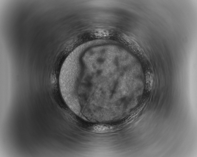 X0000093480614200711020934