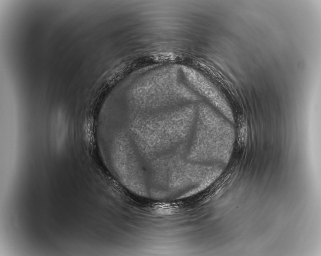 X0000093480616200711020934