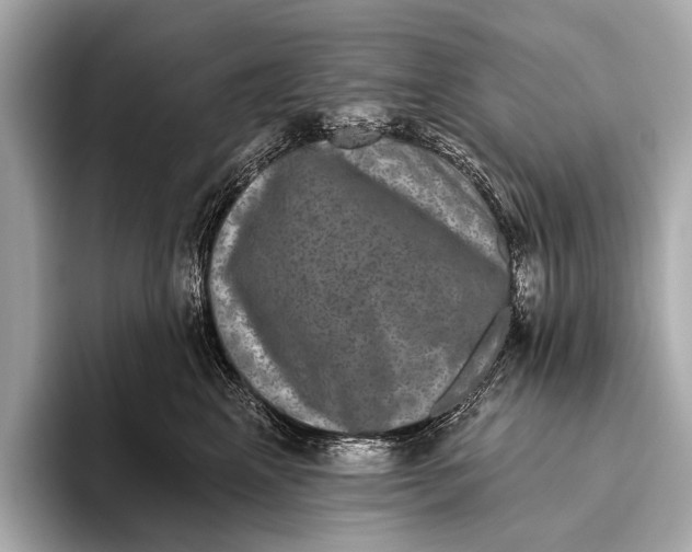 X0000093480617200711020934