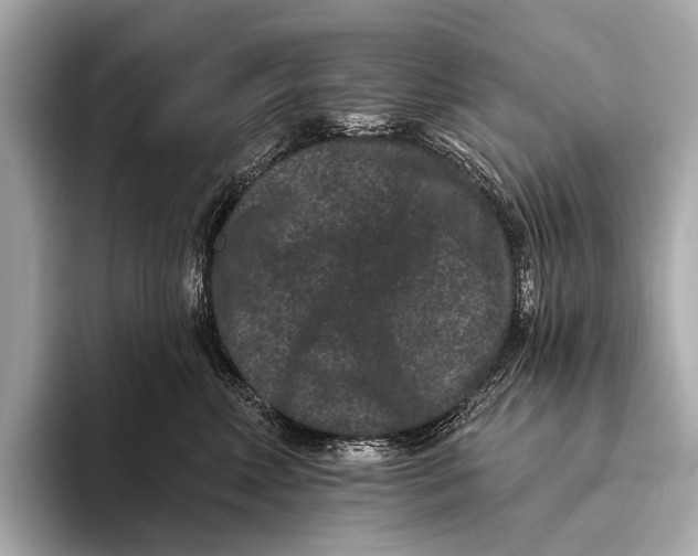 X0000093480618200711020934
