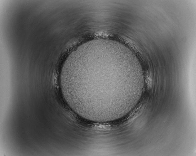 X0000093480619200711020934