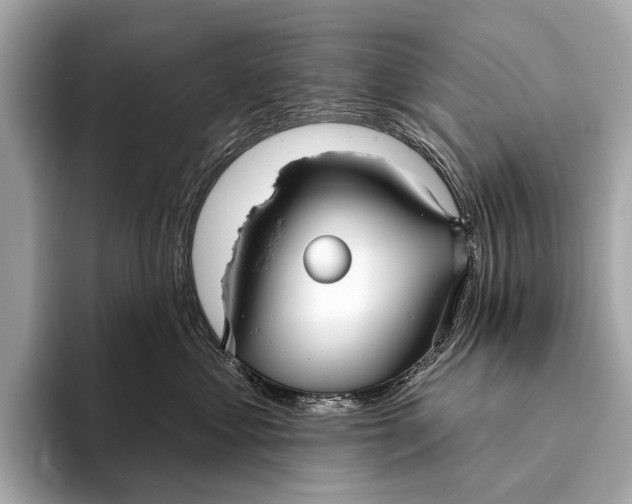 X0000093480621200711020934
