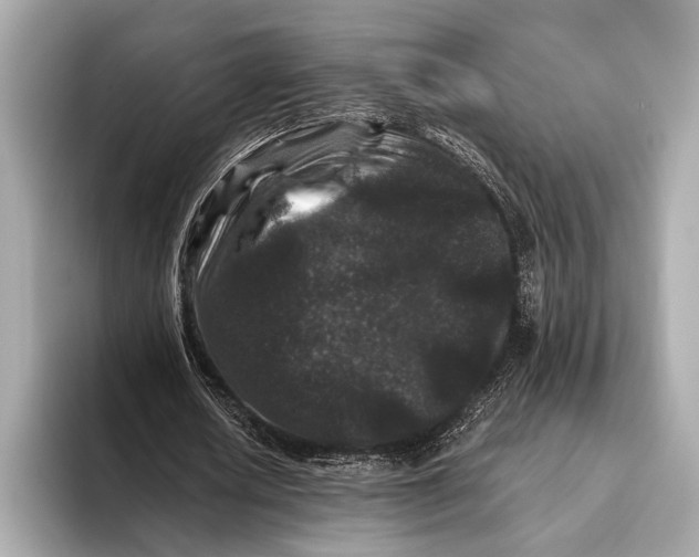 X0000093480626200711020934