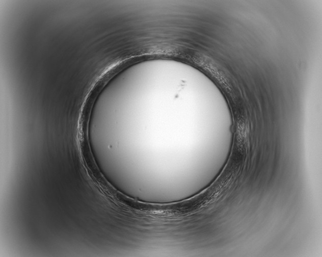 X0000093480628200711020934