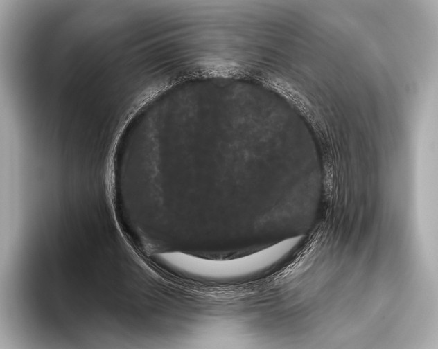 X0000093480630200711020934