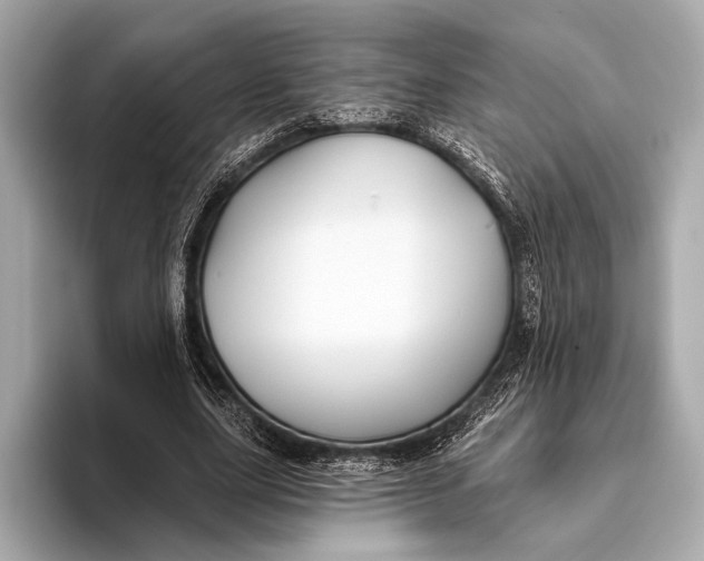 X0000093480631200711020934