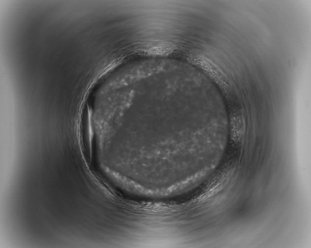 X0000093480634200711020934
