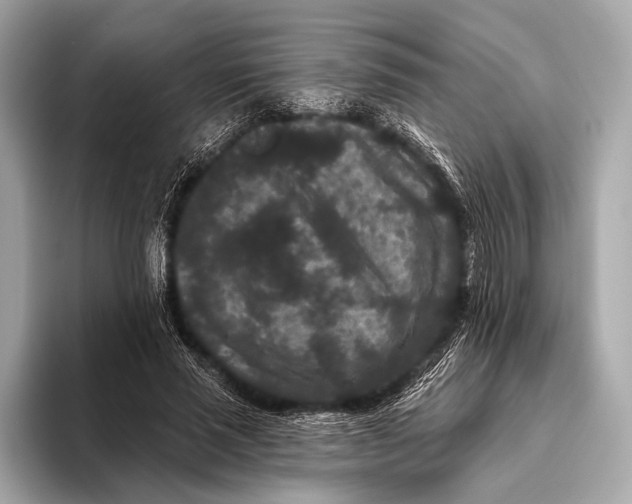 X0000093480637200711020934