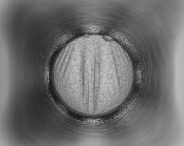 X0000093480638200711020934