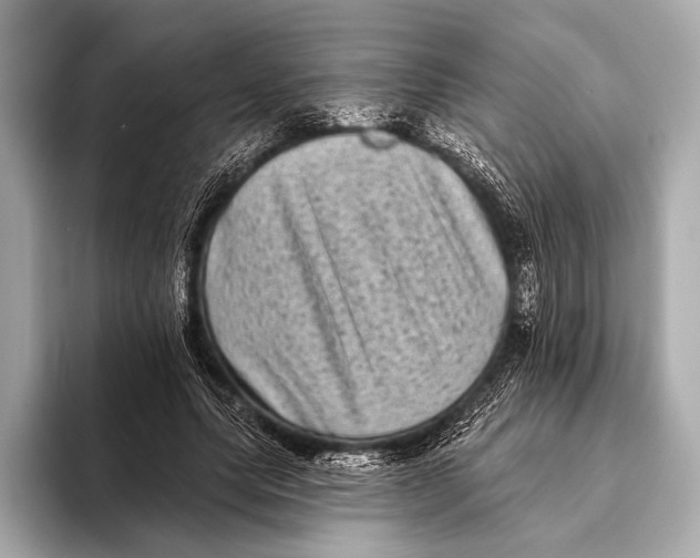 X0000093480639200711020934
