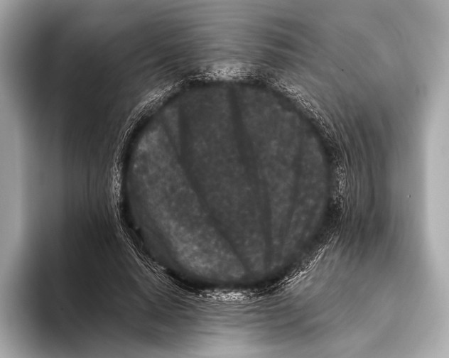 X0000093480640200711020934
