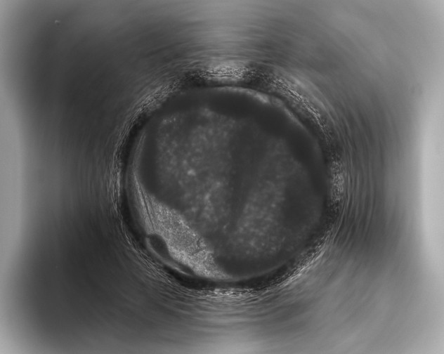 X0000093480641200711020934