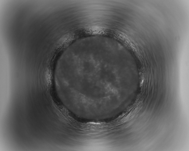 X0000093480643200711020934