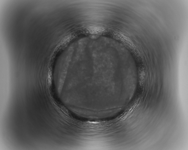X0000093480644200711020934