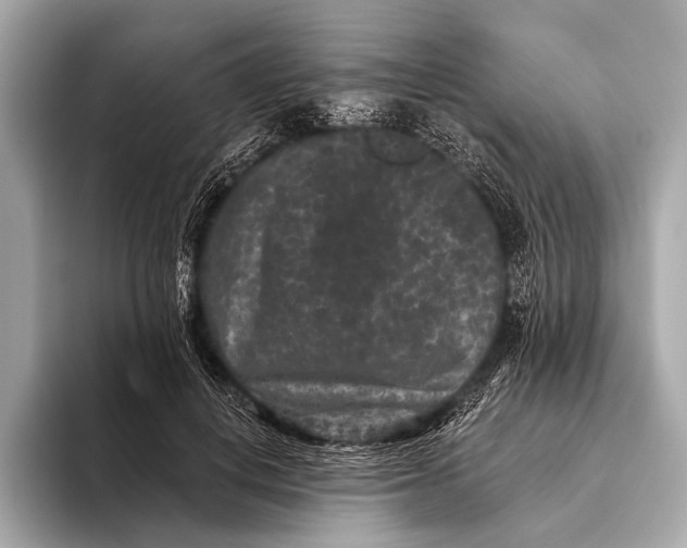 X0000093480648200711020934