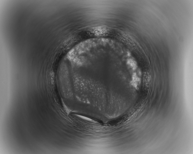 X0000093480650200711020934