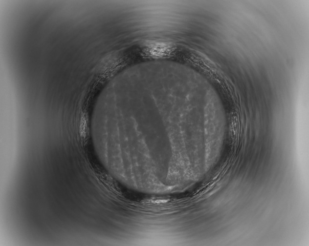 X0000093480651200711020934