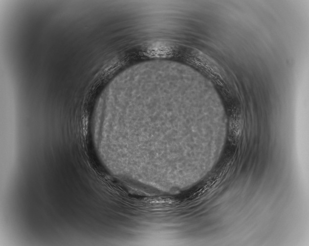 X0000093480652200711020934