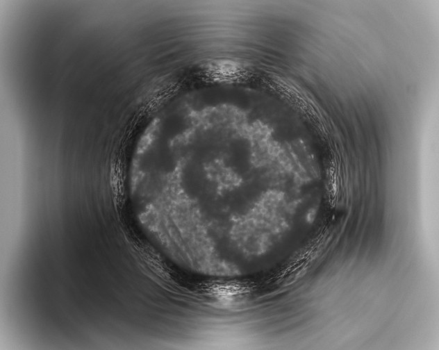 X0000093480653200711020934