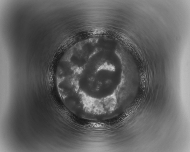 X0000093480654200711020934