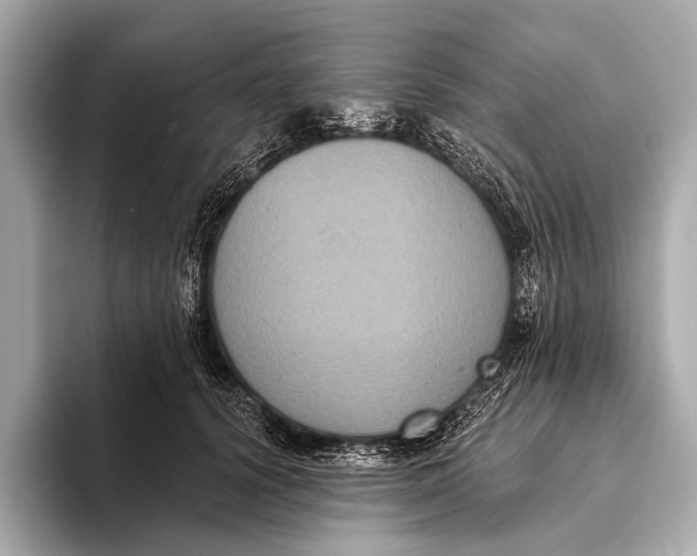 X0000093480656200711020934
