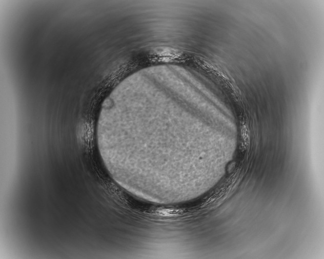X0000093480657200711020934