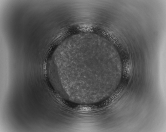 X0000093480658200711020934