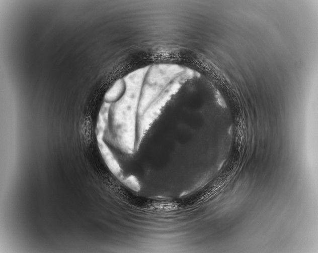 X0000093480659200711020934
