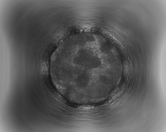 X0000093480661200711020934